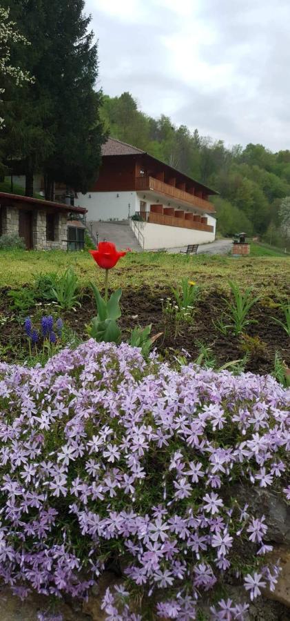 B&B Zlatna Nit Bosanska Krupa Dış mekan fotoğraf