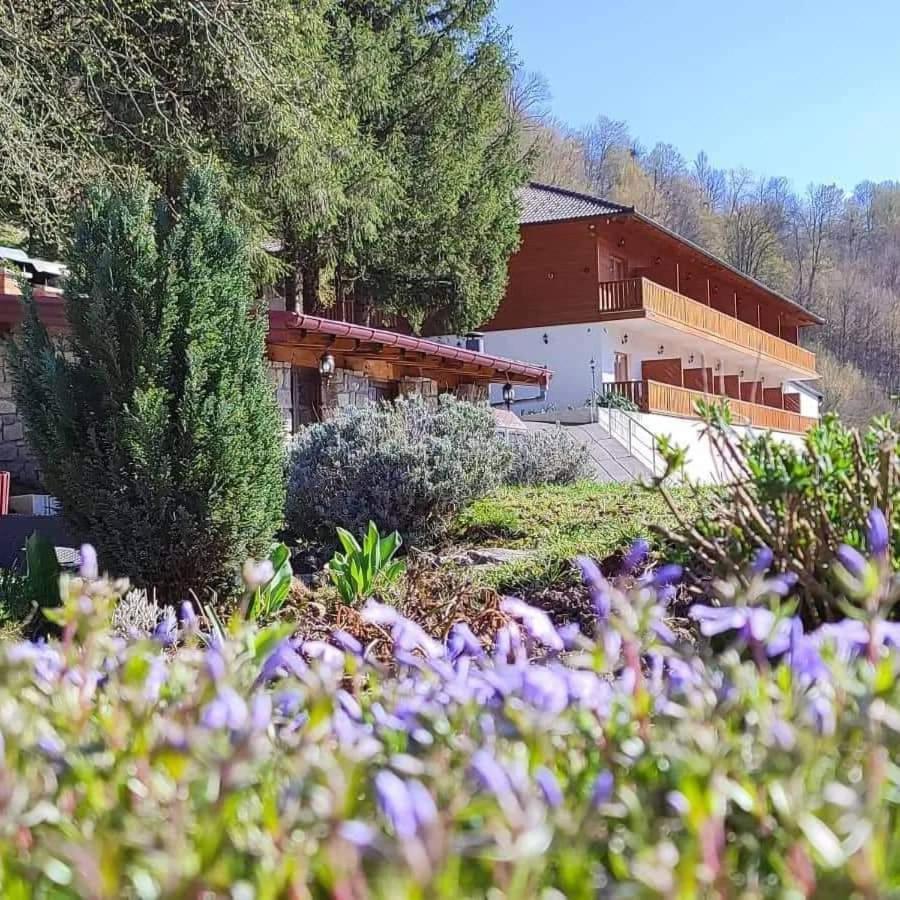 B&B Zlatna Nit Bosanska Krupa Dış mekan fotoğraf
